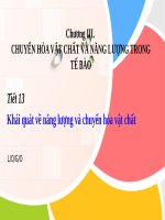 Bài 13. Khái quát về năng lượng và chuyển hóa vật chất