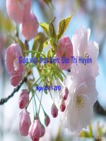 Canh ngay he (Thao giang 2013)