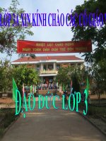 Quan tâm, chăm sóc ông bà, cha mẹ, anh chị em (tiết 1)