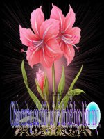 Bài 41 IÊU- YÊU- TUẦN 10.