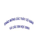 Bài 7 HÌNH CHIẾU PHỐI CẢNH