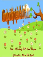 bài 16 ngẫu nhiên viết nhân buổi mới về quê