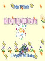 Bài giảng điện tử - cự hay