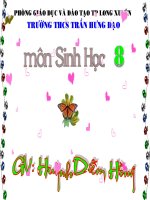 Bài 22-Vệ sinh hô hấp