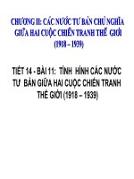 Bài 11. Tình hình các nước tư bản giữa hai cuộc chiến tranh thế giới