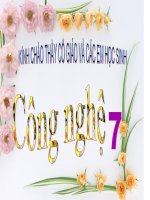 bai 37 thuc an vat nuoi