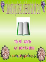 tiết 19 bài 13: Phong trào dân tộc dân chủ ở Việt Nam từ 1925 - 1930 (Tiết 2)