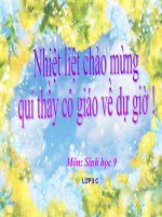 Bài 22:Đột biến cấu trúc NST