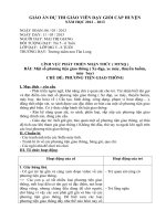 Giáo án MTXQ thi GVDG cấp huyện 2012-2013