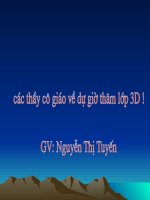 Tập làm văn lớp 3 Tuần 11