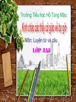 Luyện từ và câu tuần 8