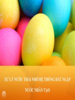 đất ngập nước nhân tạo