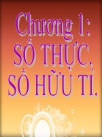 ôn tập chương 1 đại số 7