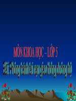 phong tranh tai nan giaothong duong bo