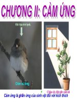 tiết 23: Hướng động