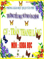 bài  24 Đồng  và  hợp  kim của  đồng