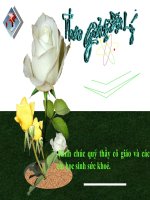 bài 8. tác động của nọi luc