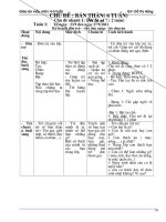 giao an chu de ban than