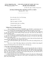 KẾ HOẠCH BỒI DƯỠNG THƯỜNG XUYÊN CÁ NHÂN