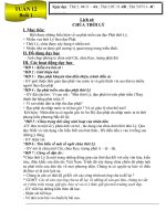 Giao an tuan 12 lop 4