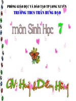 Bài 21- Đặc điểm chung & vai trò Thân mềm