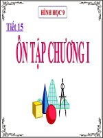 Ôn tập chương I - Hình học 9