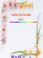 van 9 tong ket tu vung