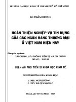 HOÀN THIỆN NGHIỆP vụ tín DỤNG của các NGÂN HÀNG THƯƠNG mại ở VIỆT NAM HIỆN NAY