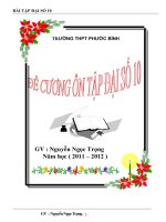 Đề cương ôn tập đại số 10