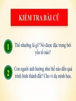 Sinh quyển. Các nhân tố ảnh hưởng tới sự phát triển và phân bố sinh vật ( cực hay )