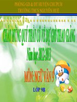 ôn tập tiếng việt 9 tiết 141