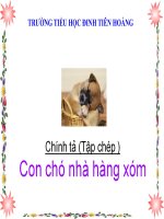 chính tả t16 con cho nha hang xom