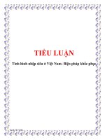 tiểu luận tình hình nhập siêu ở việt nam- biện pháp khắc phục