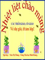 Tuần 13: Đá vôi- Phương pháp Bàn tay nặn bột