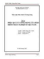 tiểu luận hiệu quả và công bằng của bảo hiểm thất nghiệp ở việt nam