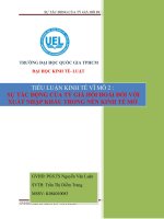 tiểu luận sự tác động của tỷ giá hối đoái đến xuất , nhập khẩu