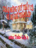 toan ôn tập lơp 3 tuan 11