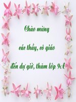 day hoat dong hoa hoc cua KL