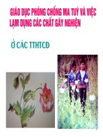Chuyên đề về ma tuy