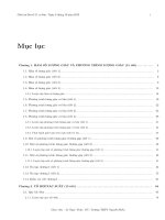 giao an dai so 11 cb hay