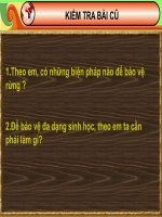 Bài 15: Bảo vệ môi trường và phòng chống thiên tai