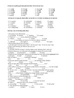 Kiem tra 1 tiet anh van 12