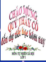 bai day tu nhien xa hoi-con muoi