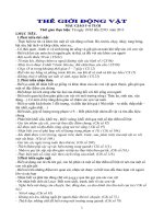 giáo án Động Vật.Lớp 5 tuổi