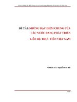tiểu luận những đặc điểm chung của các nước đang phát triển, liên hệ thực tiễn việt nam