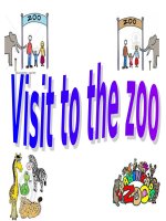 visit to the zoo
