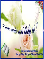 mở rộng vốn từ: từ ngữ về cây cối - lóp2  Giáo an thi tinh