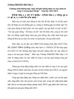 tuong niem cac nan nhan tu vong vi TNGT. Bai chay 2