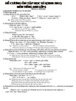 Giáo án Tiếng Anh 8- Trần Thị Trinh