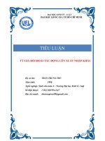 tiểu luận  tỷ giá hối đoái tác động lên xuất nhập khẩu